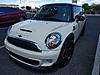 Pepper White Joining the Club!-2016-04-09-12.36.20.jpg