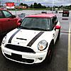 New Member - 2011 JCW in Pepper White-pooper_cooper.jpg