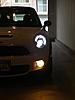 Hello!!-img_4867.jpg