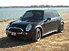 New Guy from Oklahoma City-lil-zippy-011.jpg