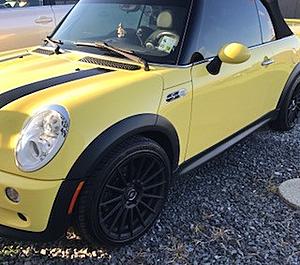 Lesley from Louisiana-mini-yellow-2.jpg