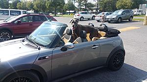Orlando ???  ?-20170810_103523.jpg