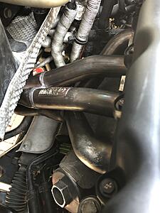 New member from Germany-d21vgzf.jpg