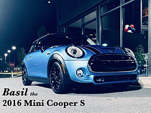 Hello - First Mini - Meet Basil the 2016 F56-S-gboam3s.jpg