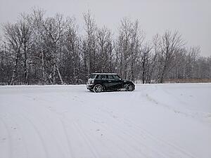 Minnesota Lurker-frobqfe.jpg