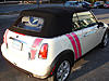 Drivin' Miss Daisy... a Mini-ography :)-daisy_welcomehome1.jpg