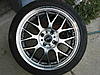 New Owner-in-Waiting from Santa Clara-img_5798.jpg