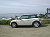 Another new Pepper White-mini4.jpg