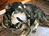 Week 21 Support group-shelby.jpg