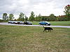 Ted's (MINI will be) so blue... Oxy Blue, that is!-p9270262.jpg
