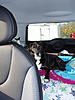 Ted's (MINI will be) so blue... Oxy Blue, that is!-pa260020.jpg