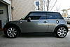 Our new girl-img_3783.jpg