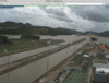 Week 23 Support Group-granddahlia-miraflores.gif