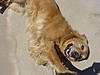 Anybody else in Week 19 (2009)?-dsc00189.jpg