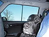 Who says only humans can motor?-dscn2591.jpg