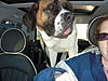 Who says only humans can motor?-dscn2592.jpg