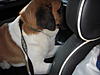 Who says only humans can motor?-dscn2593.jpg