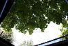 Midnight Black Mini Cooper S-mini-012.jpg