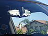 New to Mini's and NAM-dsc01470.jpg