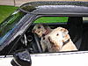 1st post, new owner.-dscn1524.jpg