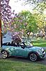 New Mini in DC-dsc_5610_2.jpg