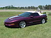 BEPMC "BOO"'s  '95 PURPLE WS6 TA 6-speed SISTER...LOOK...SWEET-purple-ta.jpg