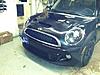 Accidental Mini Owner-mini2.jpg
