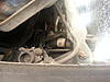 new member in NC with a few questions-20130314_125635.jpg