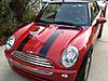 Hello from Charleston, SC - 1st Post-mini-stripes1.jpg