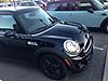 New Mini Owner-mini.3.jpg