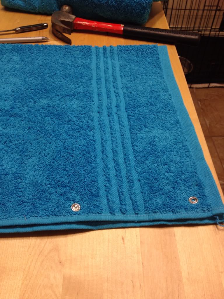 Name:  caf18083.jpg
Views: 8989
Size:  158.9 KB