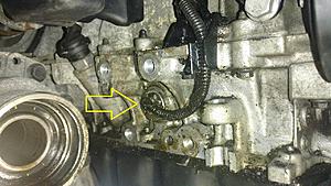Oil Pump Solenoid Leak-oilyharness.jpg