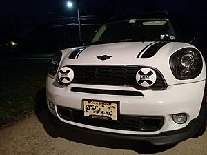 adding stripes to my Countryman R60-g07wns3.jpg