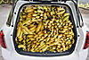 I Wish I Never Purchased my Countryman - Nothing But Problems-bananas-boot.jpg