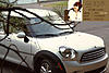 Countryman Photos-jihoo1.jpg