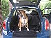 Who's your furry friend?-resized.jpg