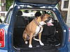 Who's your furry friend?-img_2899.jpg