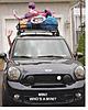 Countryman with kids?-minime.jpg