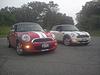 We are now a 2 Mini family-3005-.jpg