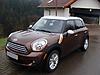 Official Brilliant Copper Owners Club-dsc03756-copy.jpg