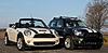 What did you do to your Countryman TODAY?-jan-12.jpg