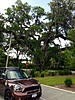 Official Brilliant Copper Owners Club-image-855971299.jpg