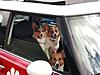 Frappr your location!-kids-in-mini_2.jpg