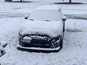 winter-img_0003.jpeg