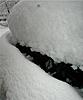 MOTD 2006 Pump up thread-feb-12-06-snow-dragon-sticker.jpg