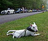Where are you coming from?-100_8260aw.jpg
