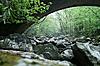 Live From The Dragon!!!-pict0015l.jpg