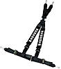 (SOLD) MINI SCHROTH Rallye 4 Harness Black w/pads &amp; Silver Logo :: 0 Shipped!-schroth_harness.jpg
