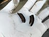 Caliper Rebuild/Repair Kits?-img_0722.jpg
