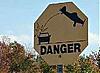 plane hits MINI in Palatine-image.jpeg